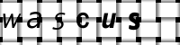 CAPTCHA 그림